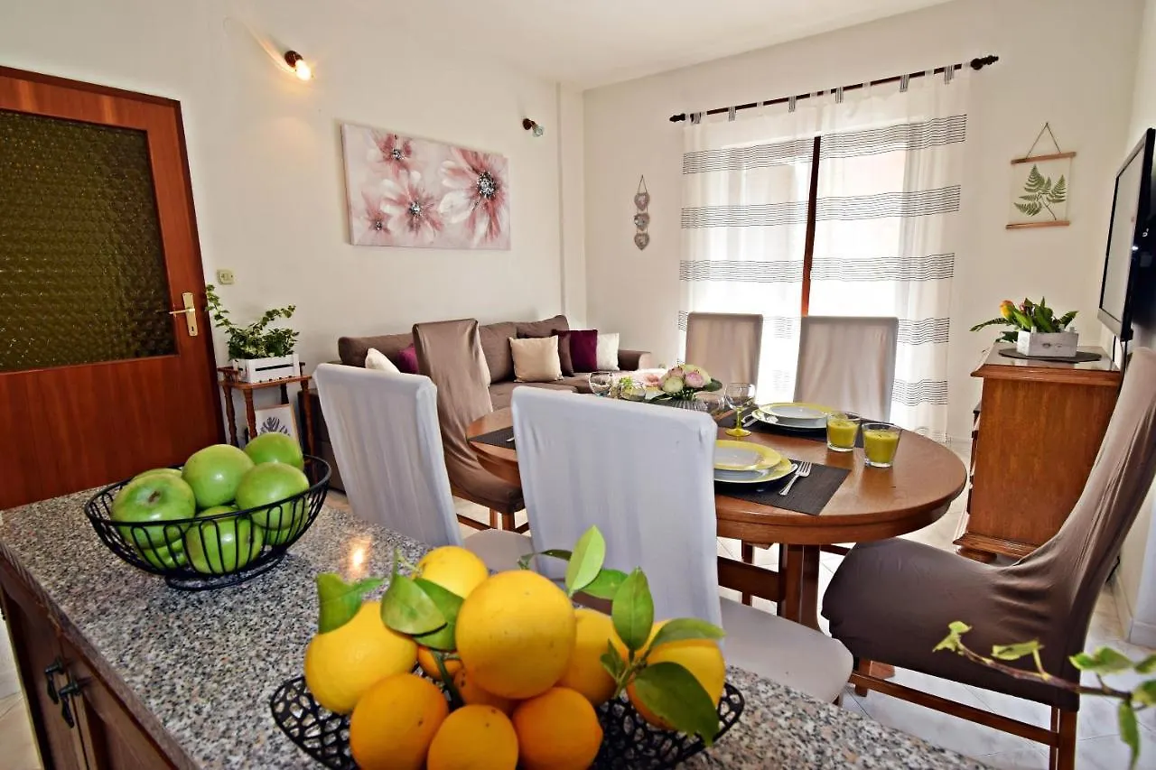 Ground Floor Apartment With A Private Pool Donji Okrug