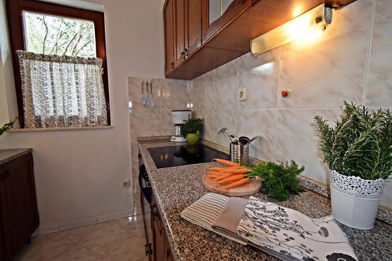 Ground Floor Apartment With A Private Pool Donji Okrug  Croatia