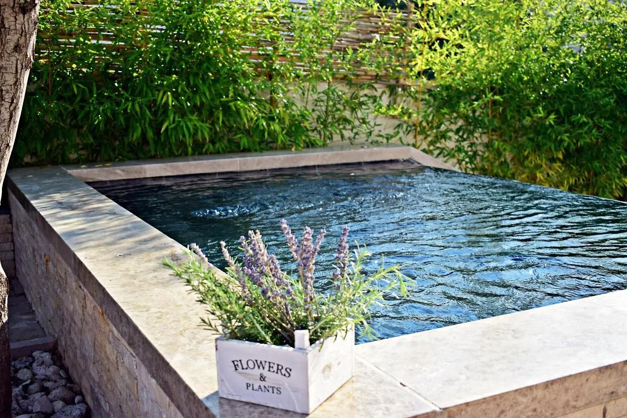 Ground Floor Apartment With A Private Pool Donji Okrug  Croatia